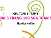 Giải bài 5 trang 100 SGK Toán 9 tập 1